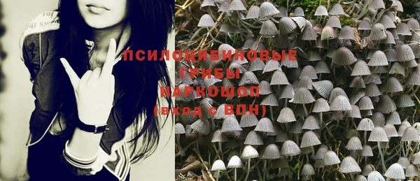 герыч Болохово